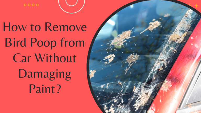 How to Remove Bird Poop from Car Without Damaging Paint?