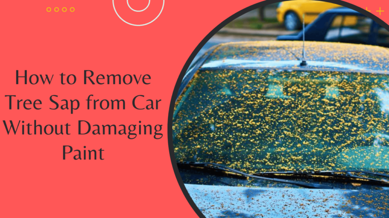 How to Remove Tree Sap from Car Without Damaging Paint